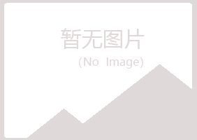 剑川县夏岚采矿有限公司